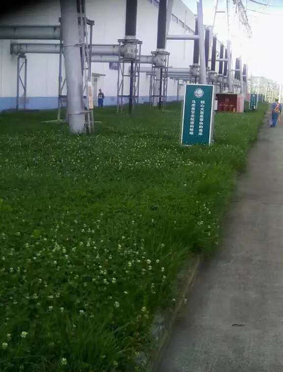 ����O�����Ϳ�Ϲ���